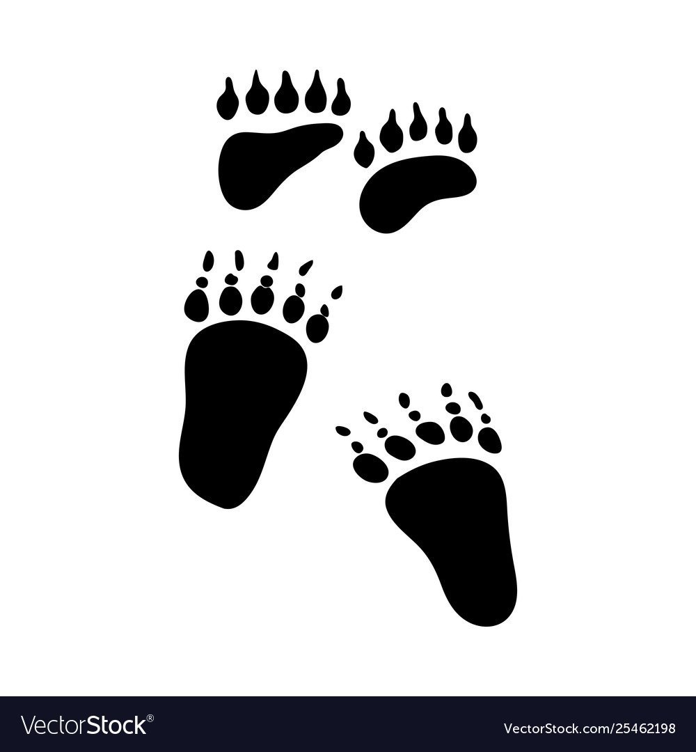 Отпечаток лапы зайца