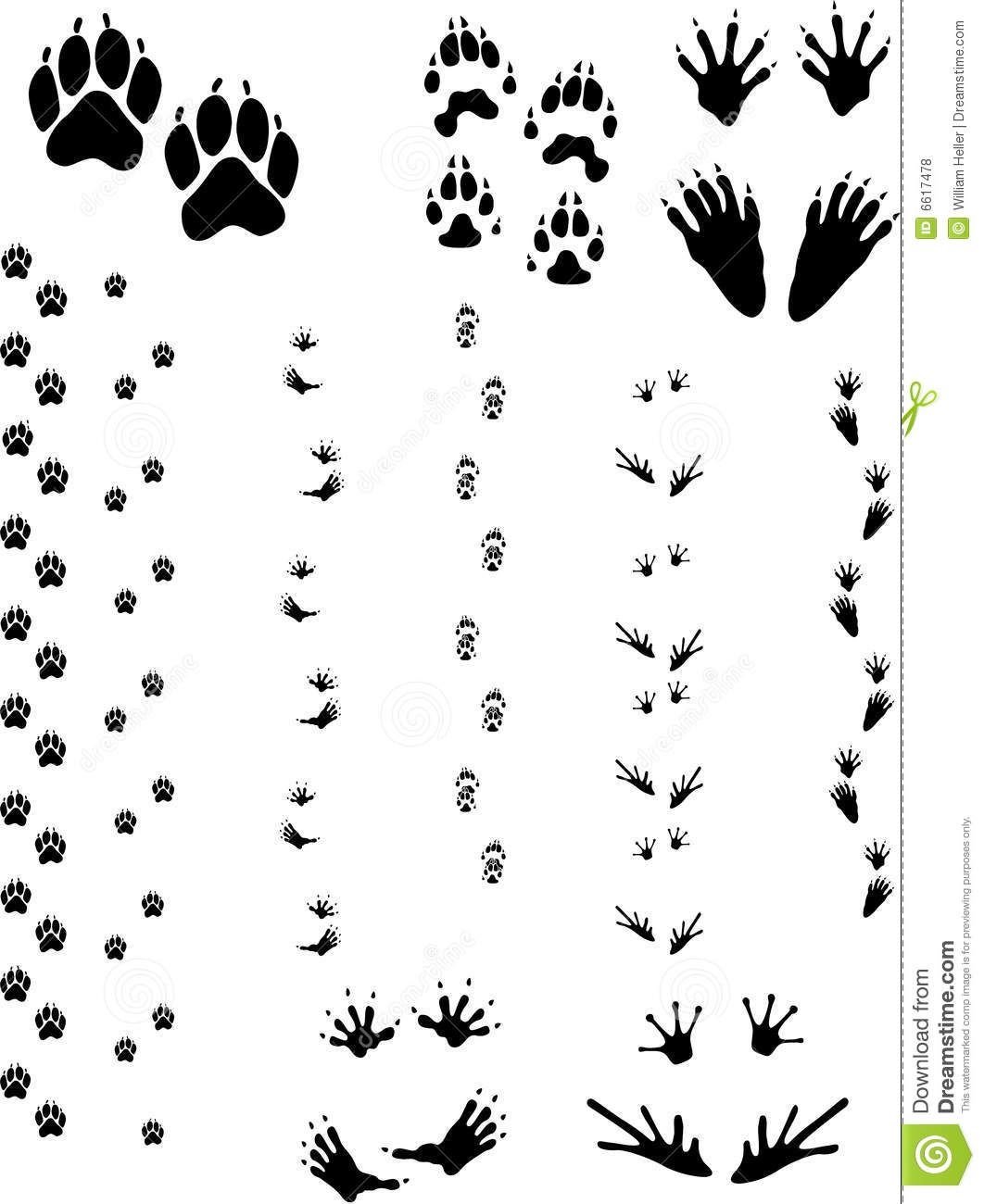 Следы мелких животных