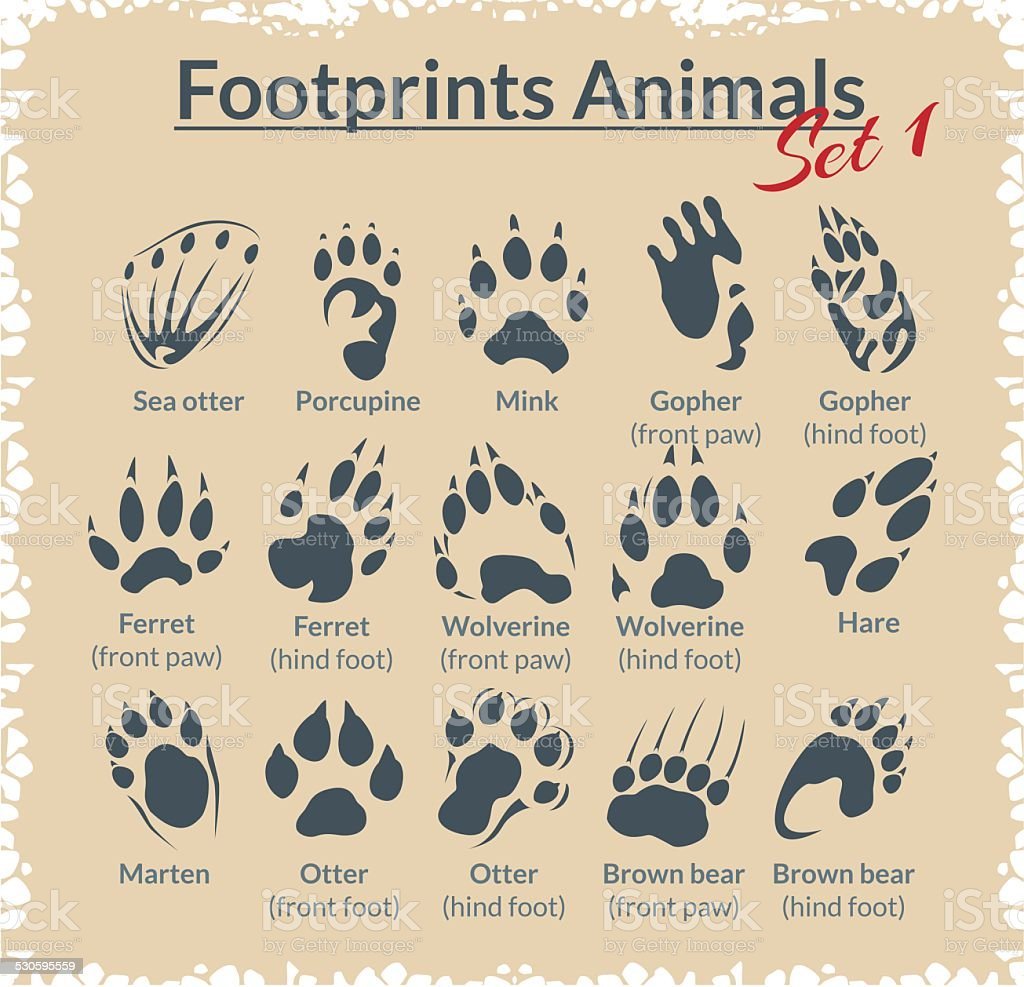 Изображение следов животных крокодил