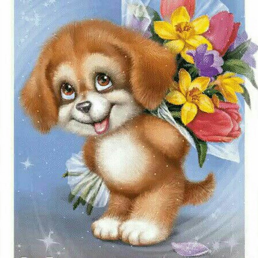 5 Месяцев девочке картинки