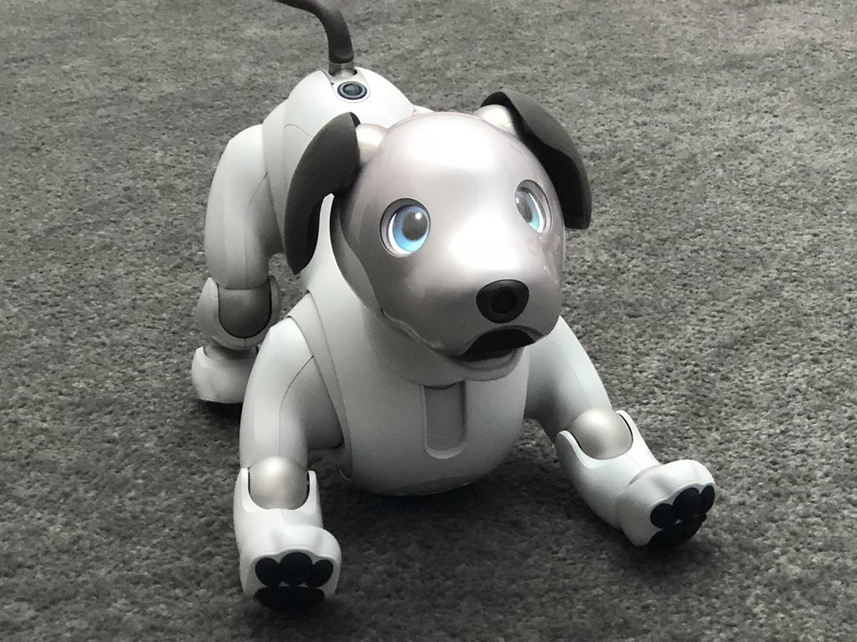 Собака-робот Sony’s Aibo