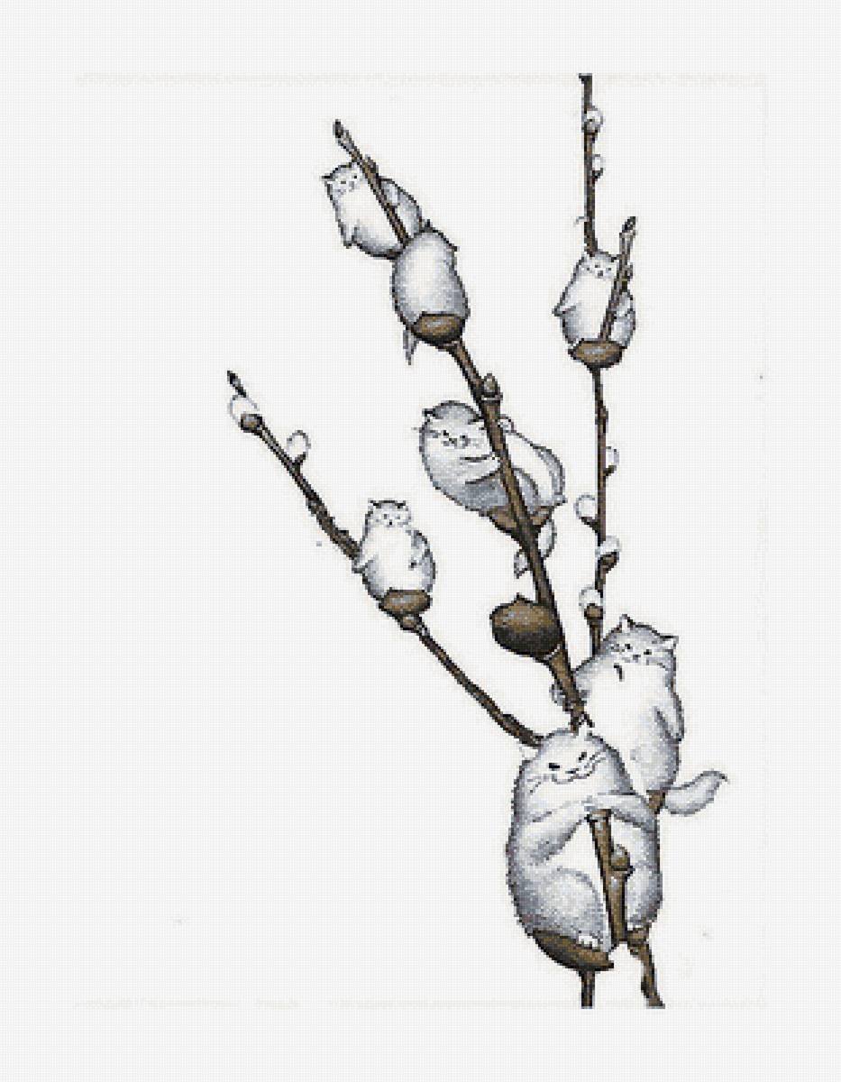 Верба контур