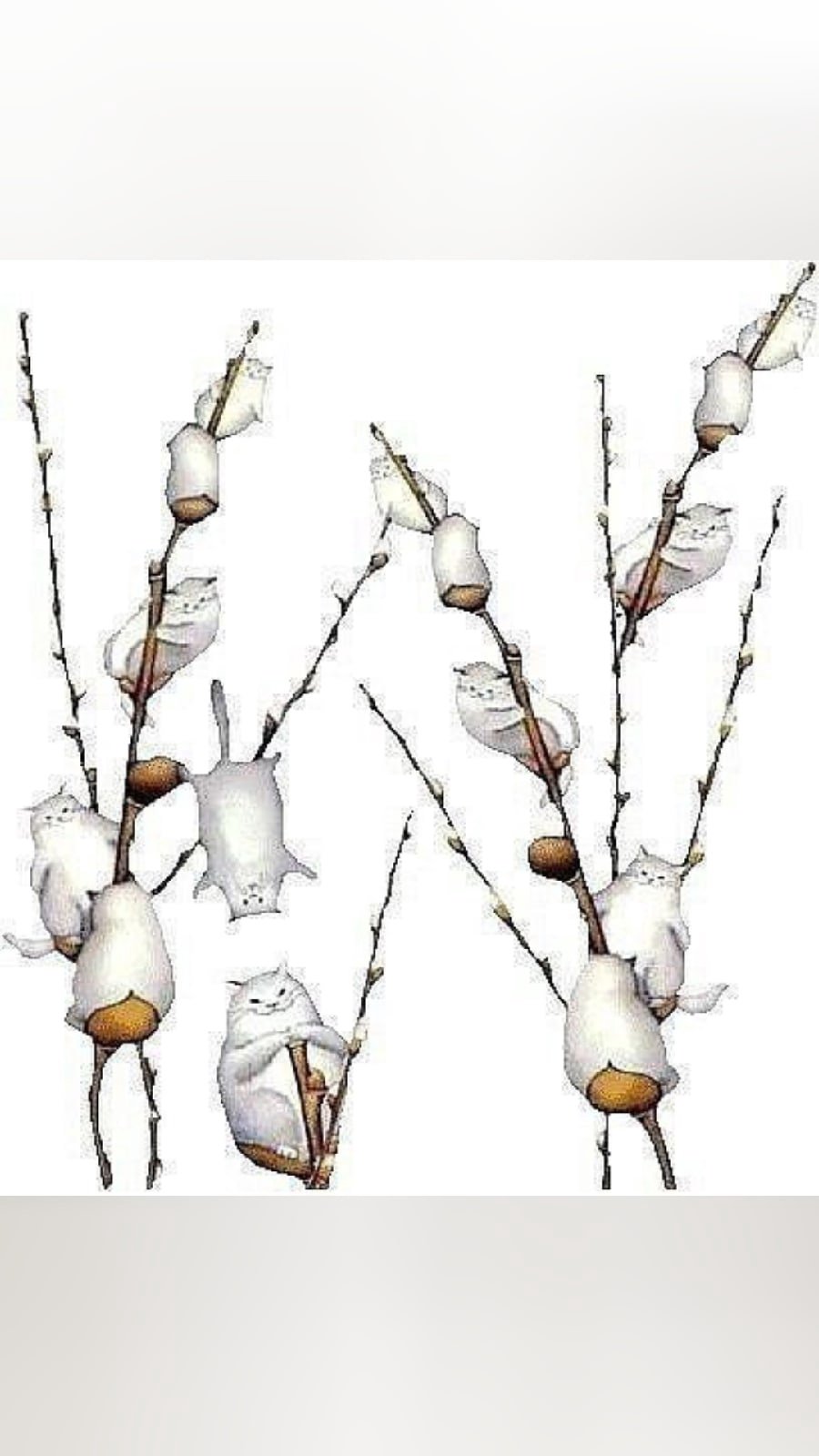 Ветка с почками