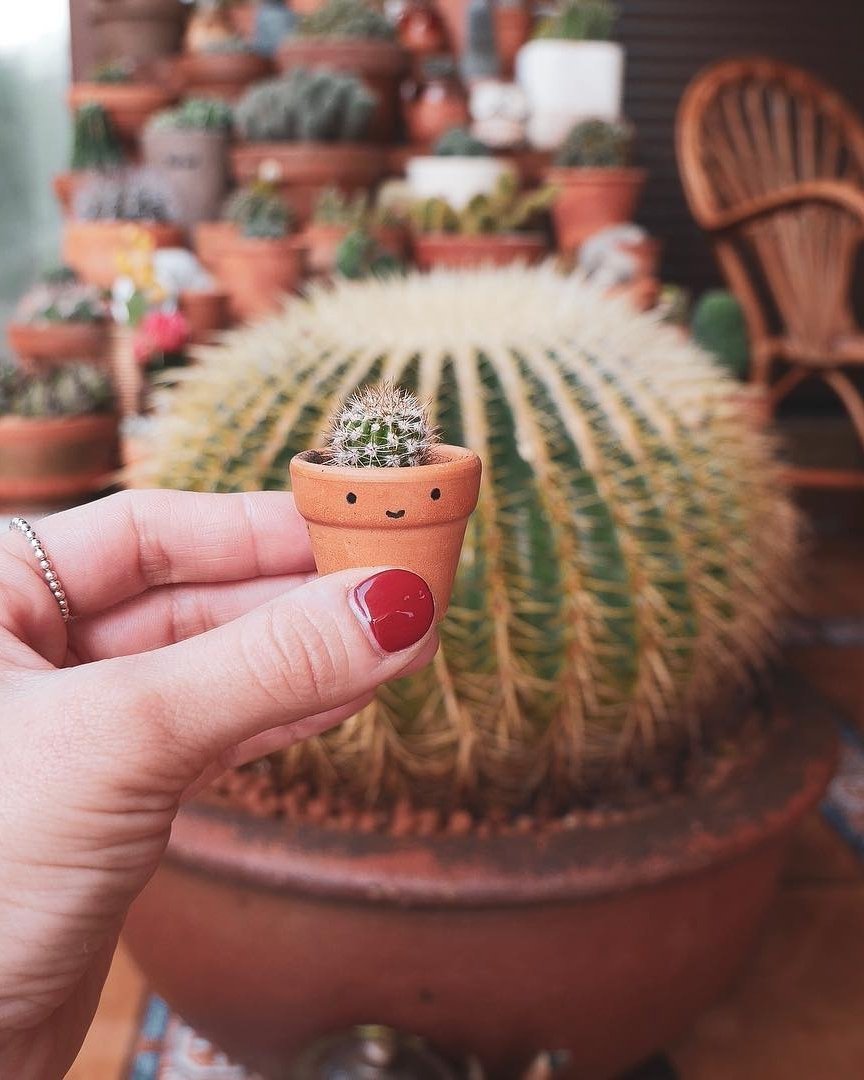 Фото с кактусом для инстаграмма