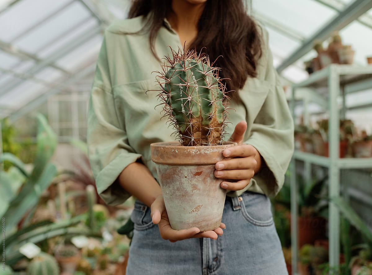 Ромашкa musulmanka