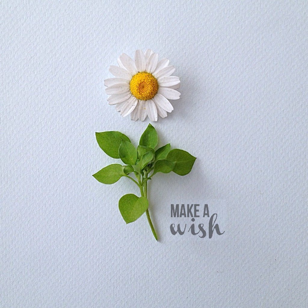 Открытка с кактусом