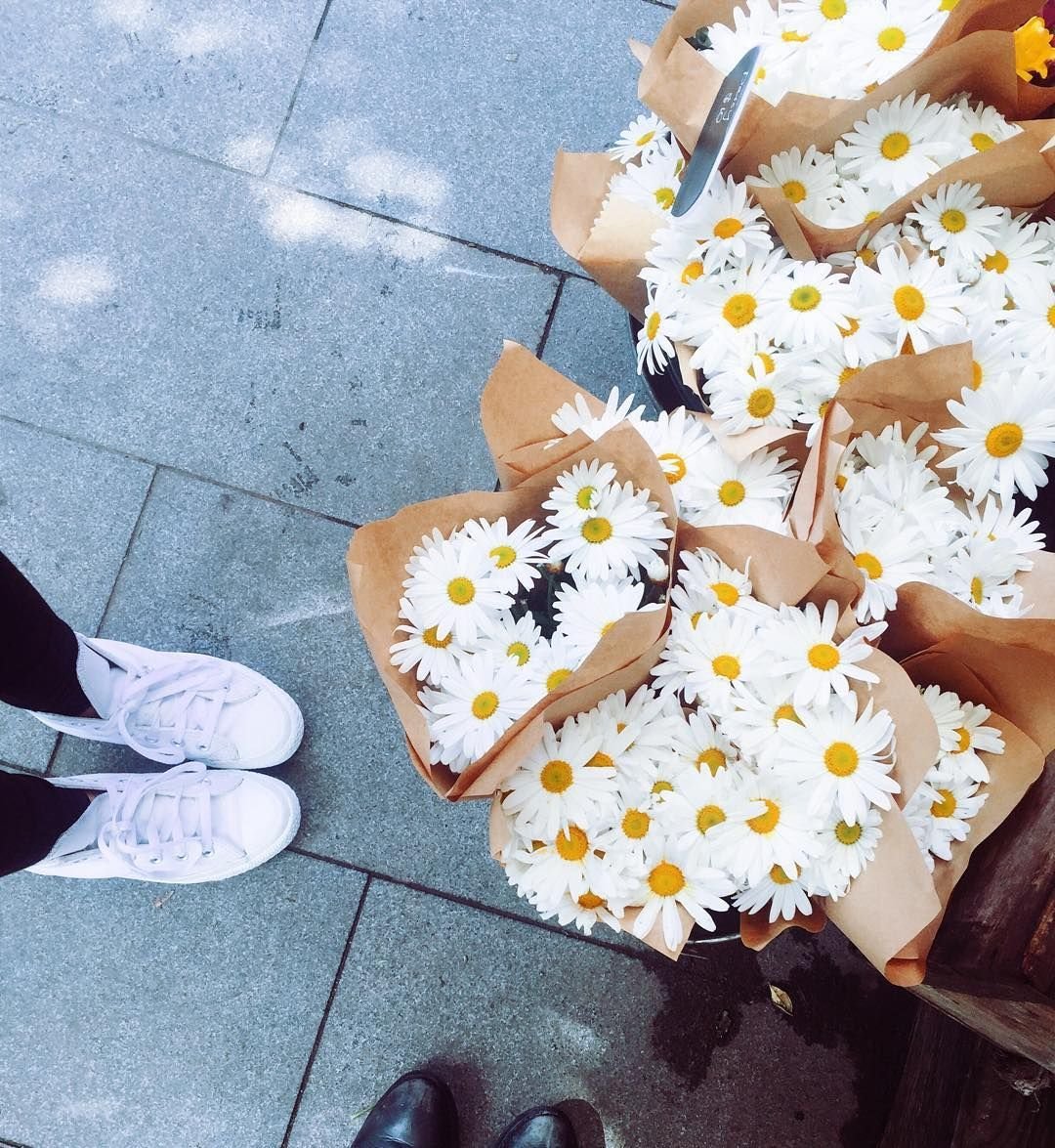 Девушка с кактусом в руке