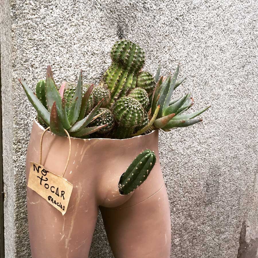 Маленькая Ромашка