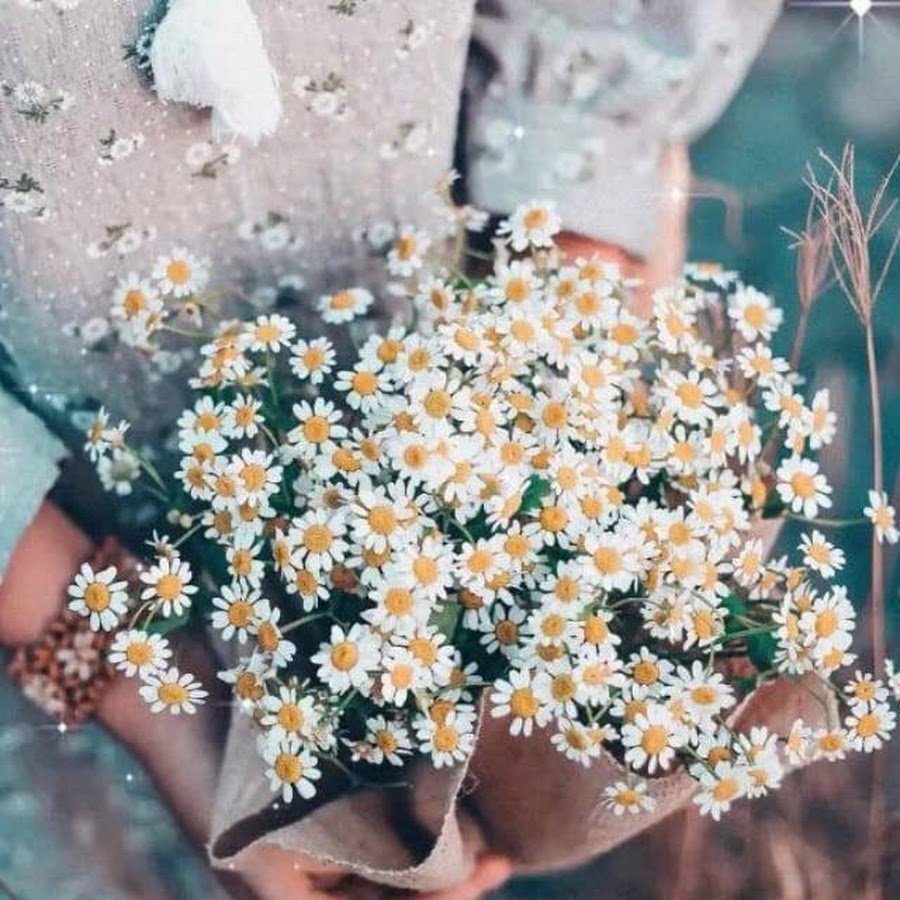 Девушка с кактусом в руке