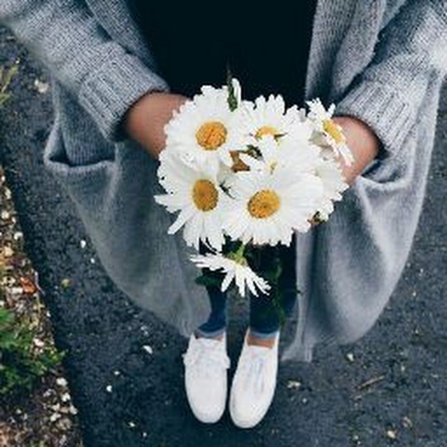 Мемы про комнатные растения