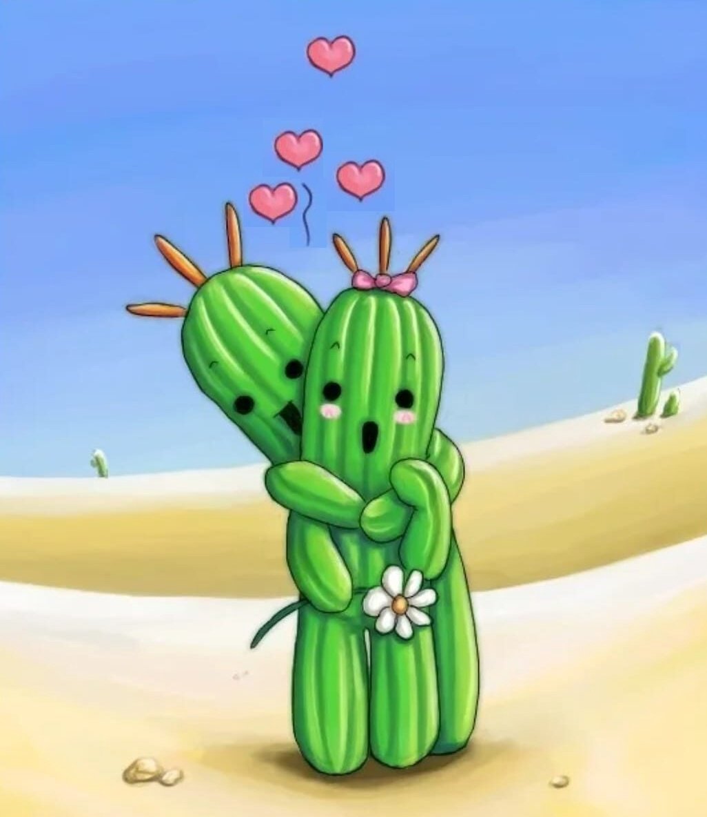 Ромашки Эстетика