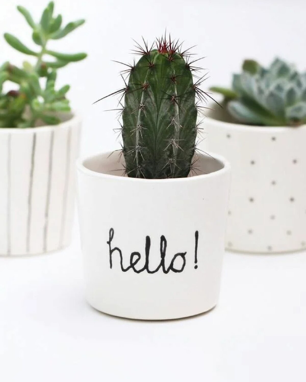 Брюнетка с ромашками