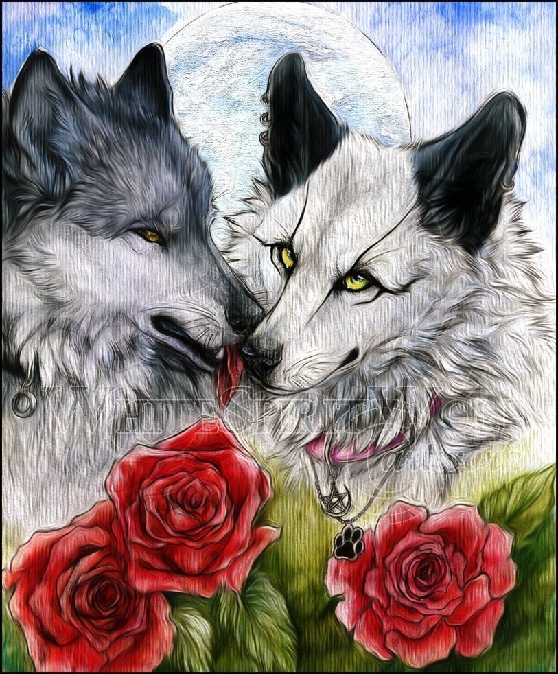 Красивый волк