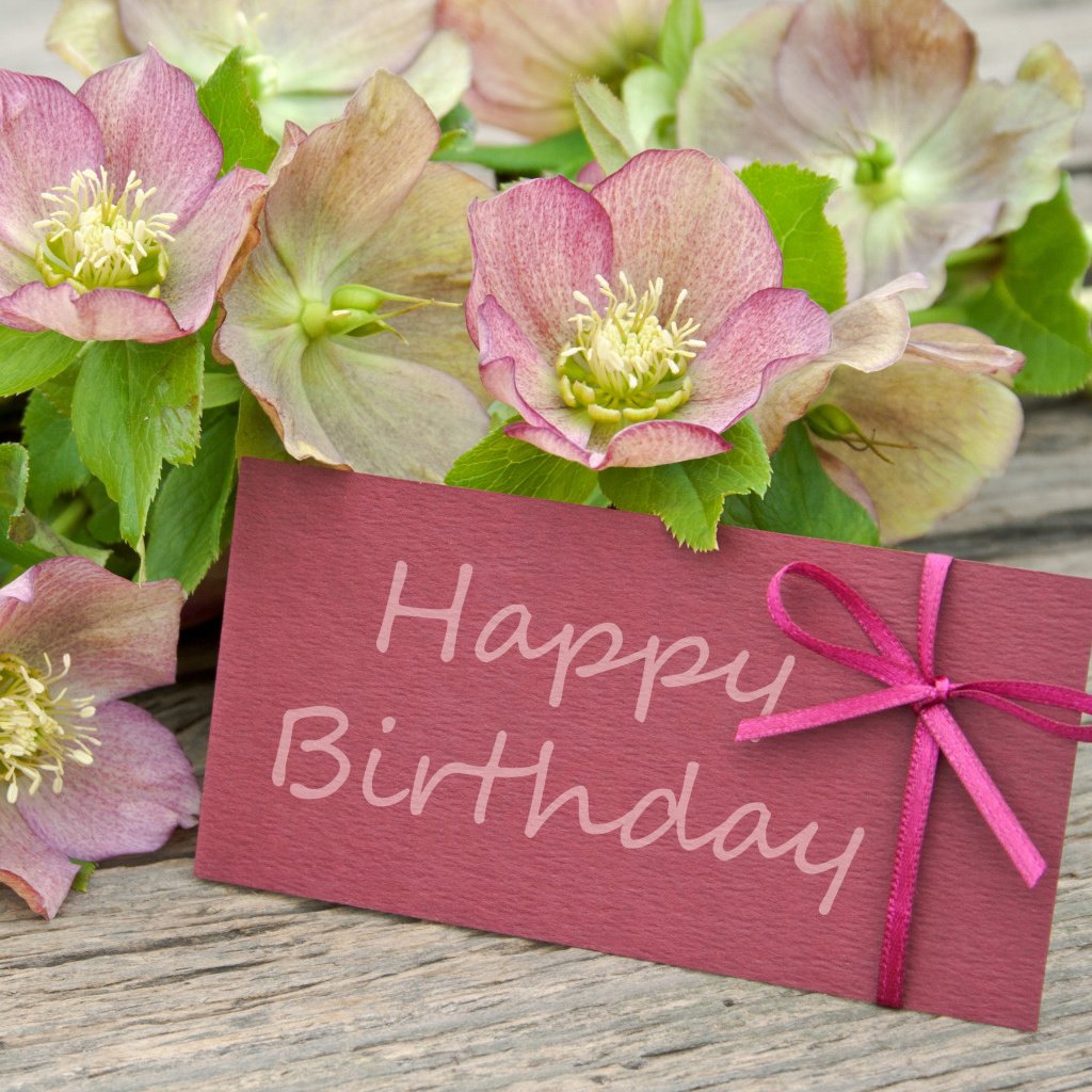 Поздравления с днём рождения Елене