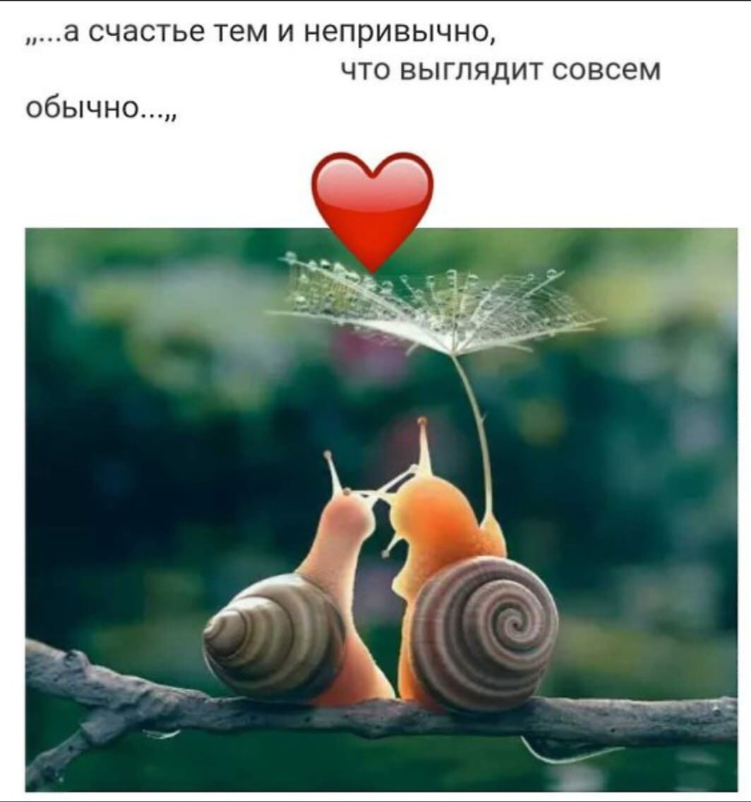 Открытка бодрости на весь день