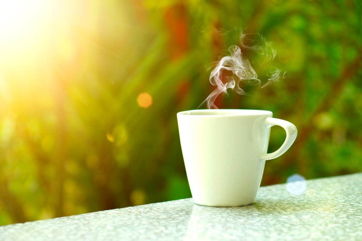 Девушка в позе кошки