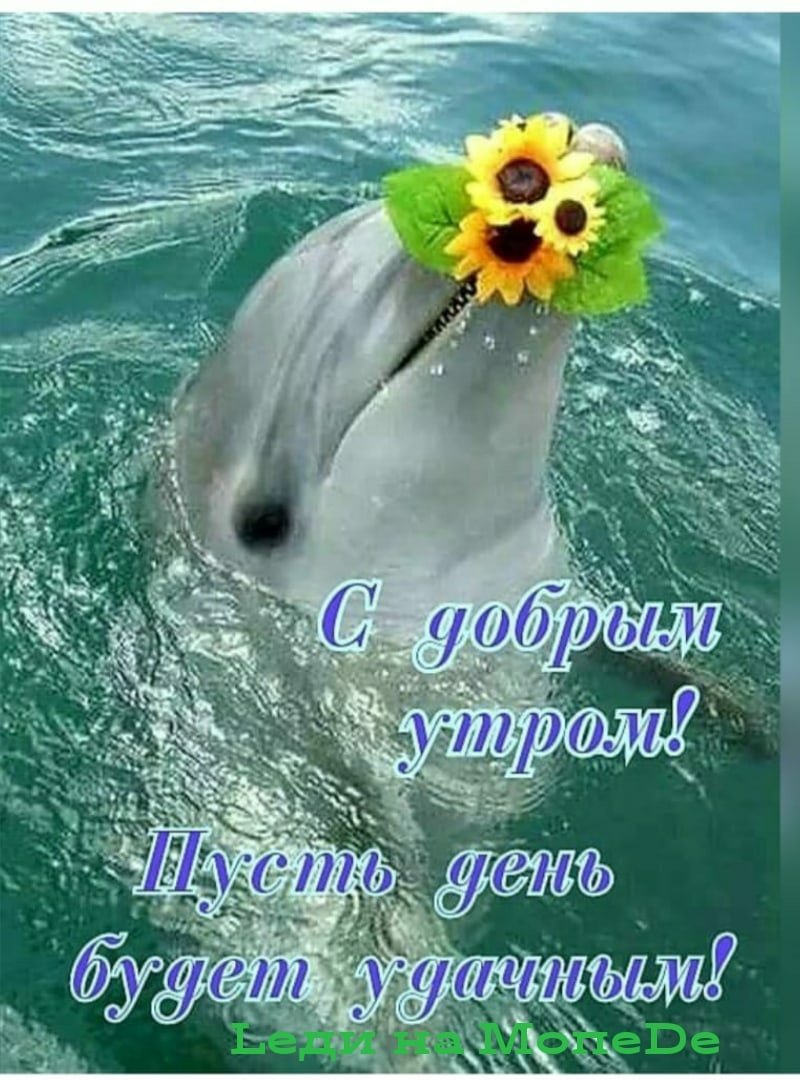 Красивые поздравления с добрым утром природа