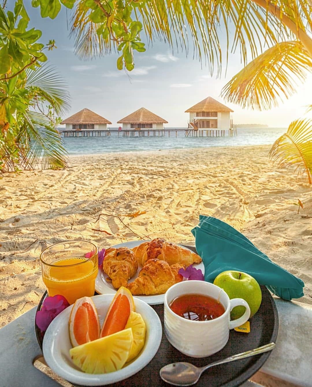 Чашка чая на берегу моря