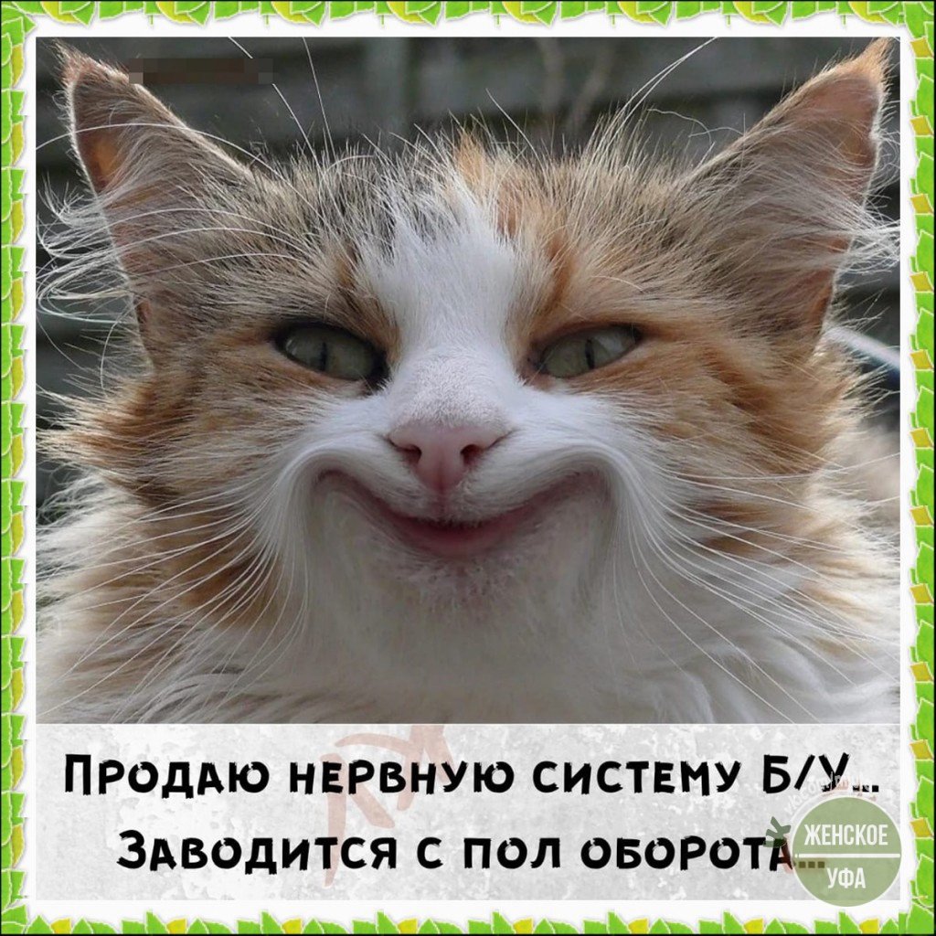 Четверг демотиватор