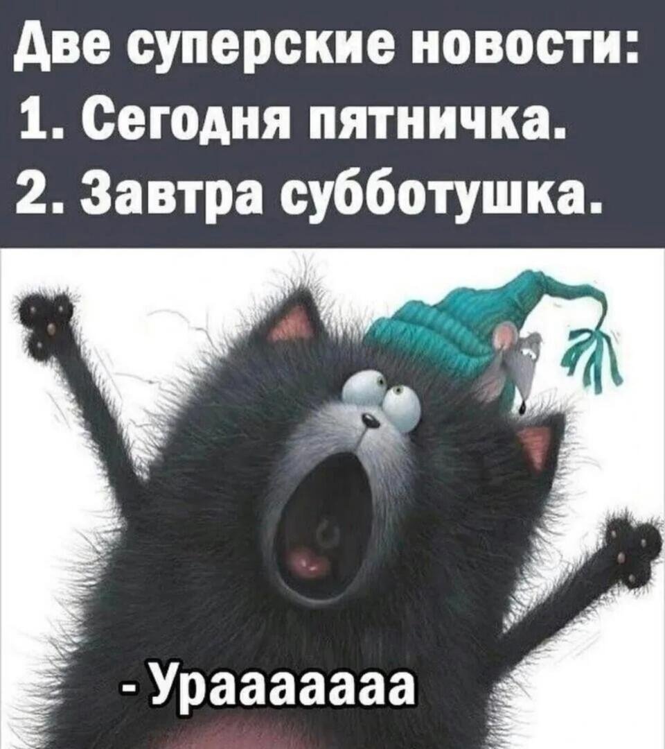 С пятничкой смешные картинки