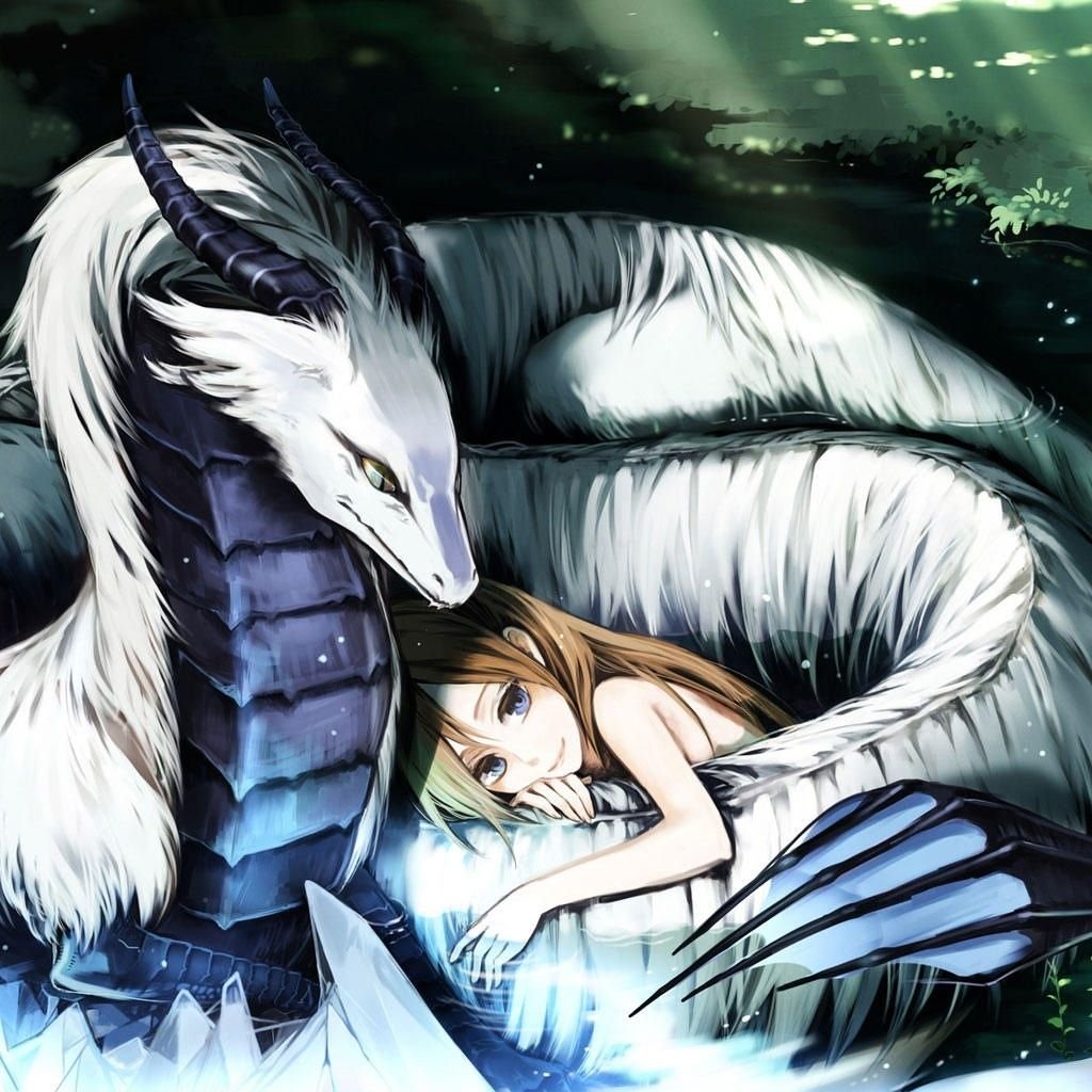 Дракон и девушка любовь аниме