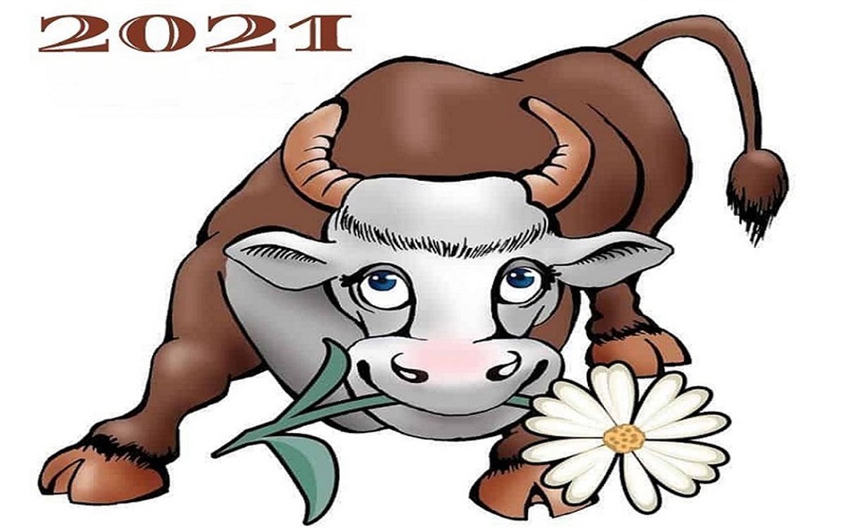 Год быка 2021