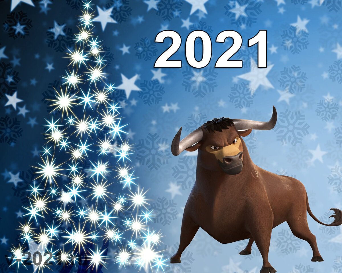 Год быка 2021