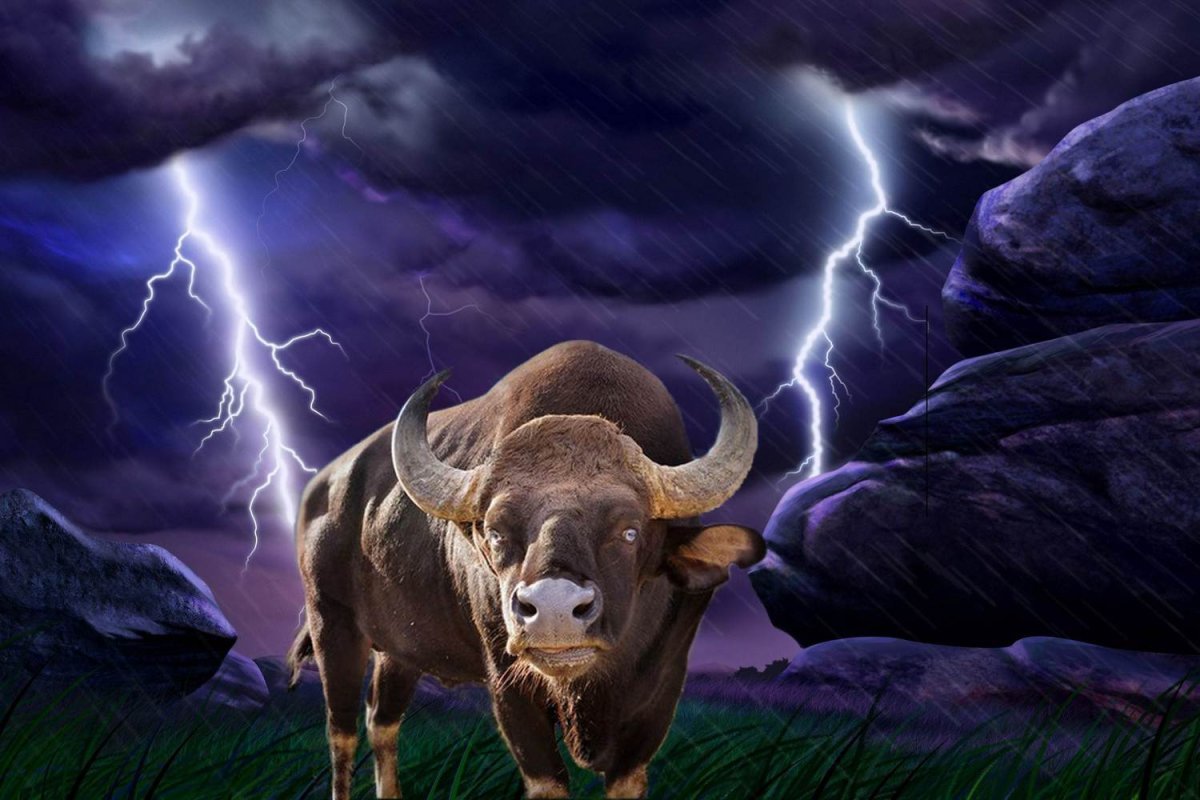 Небесный бык