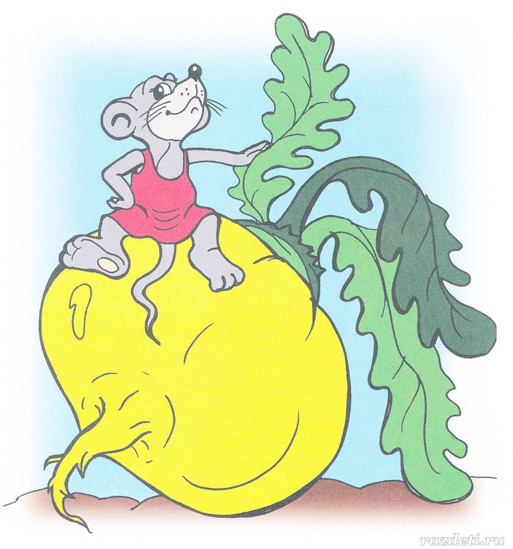 Картинки по сказке Репка