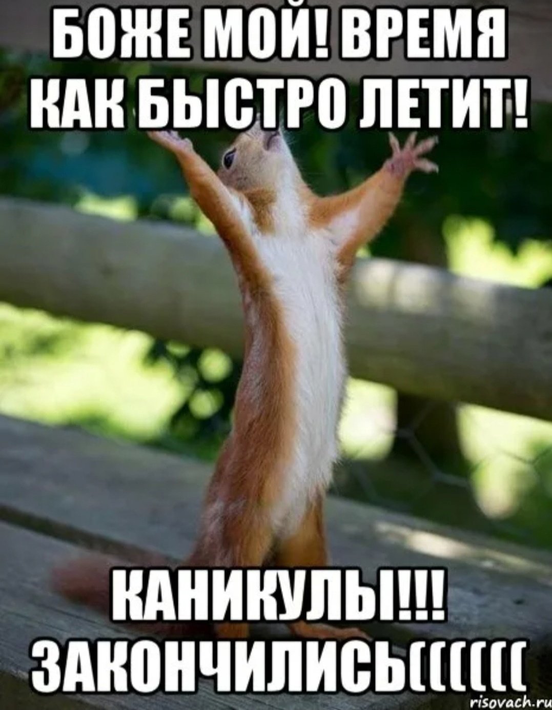 Каникулы закончились