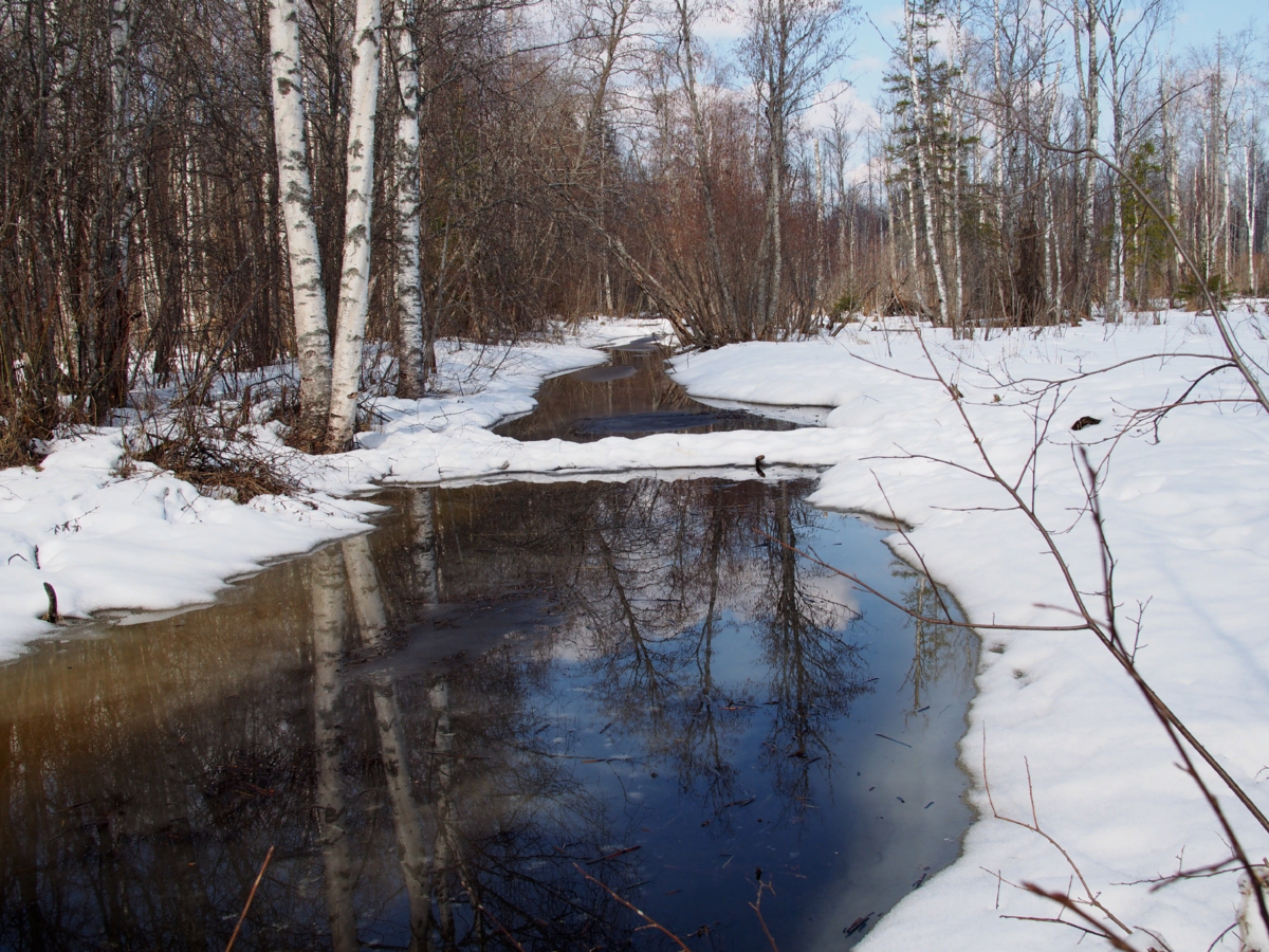 Проталины на реке