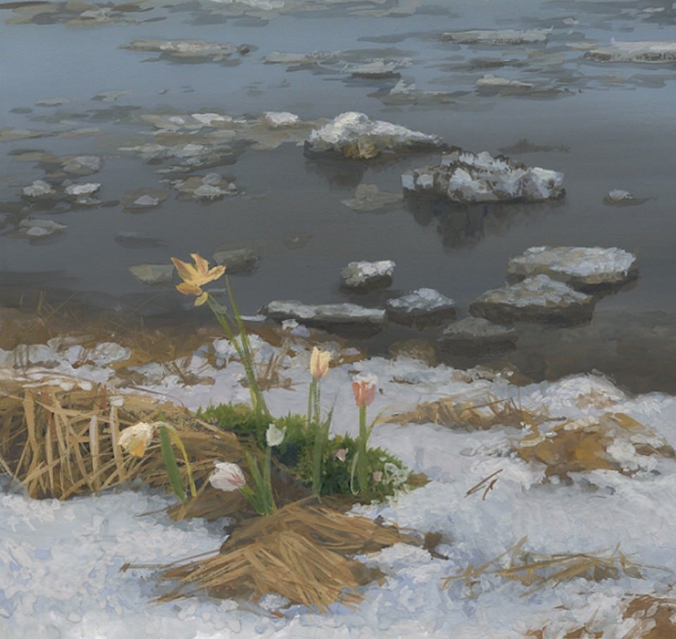 Цветы подснежники цветы пролески