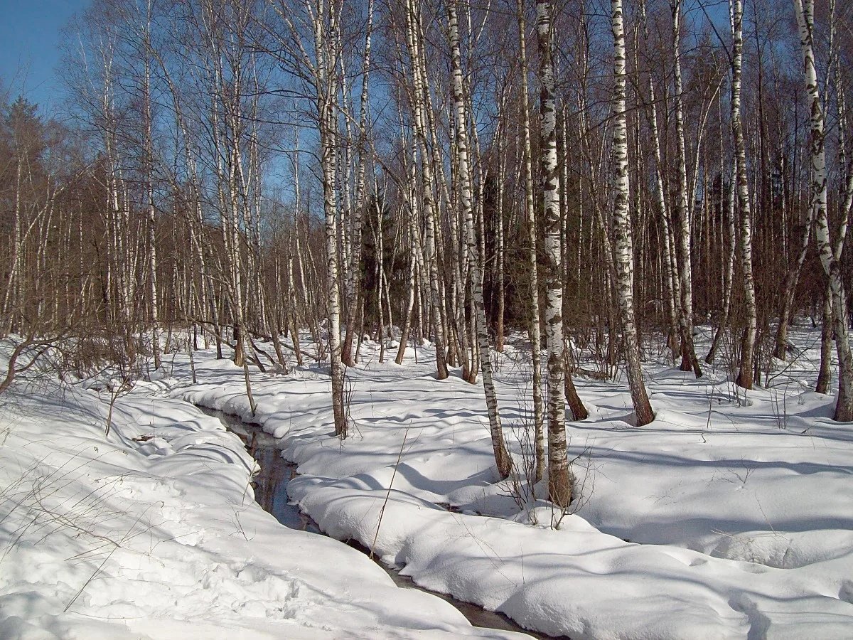 Ранняя Весна для дошкольников