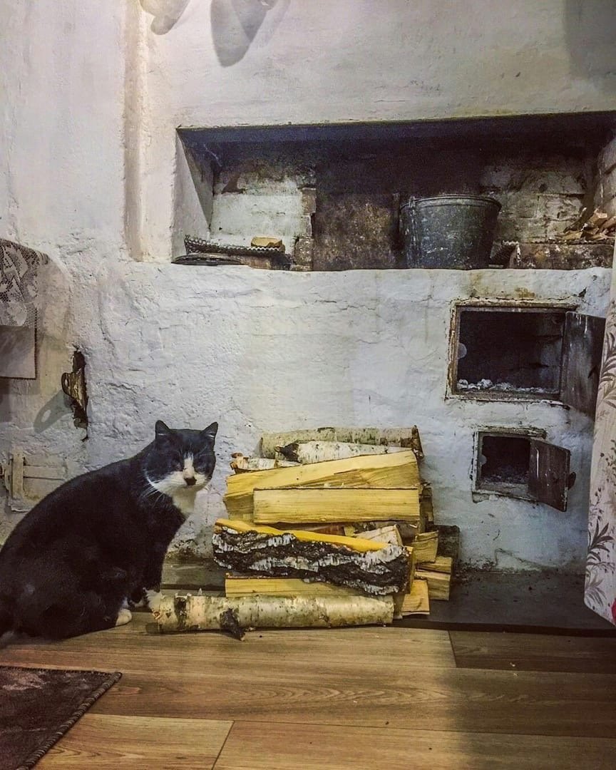 Печка с кошкой