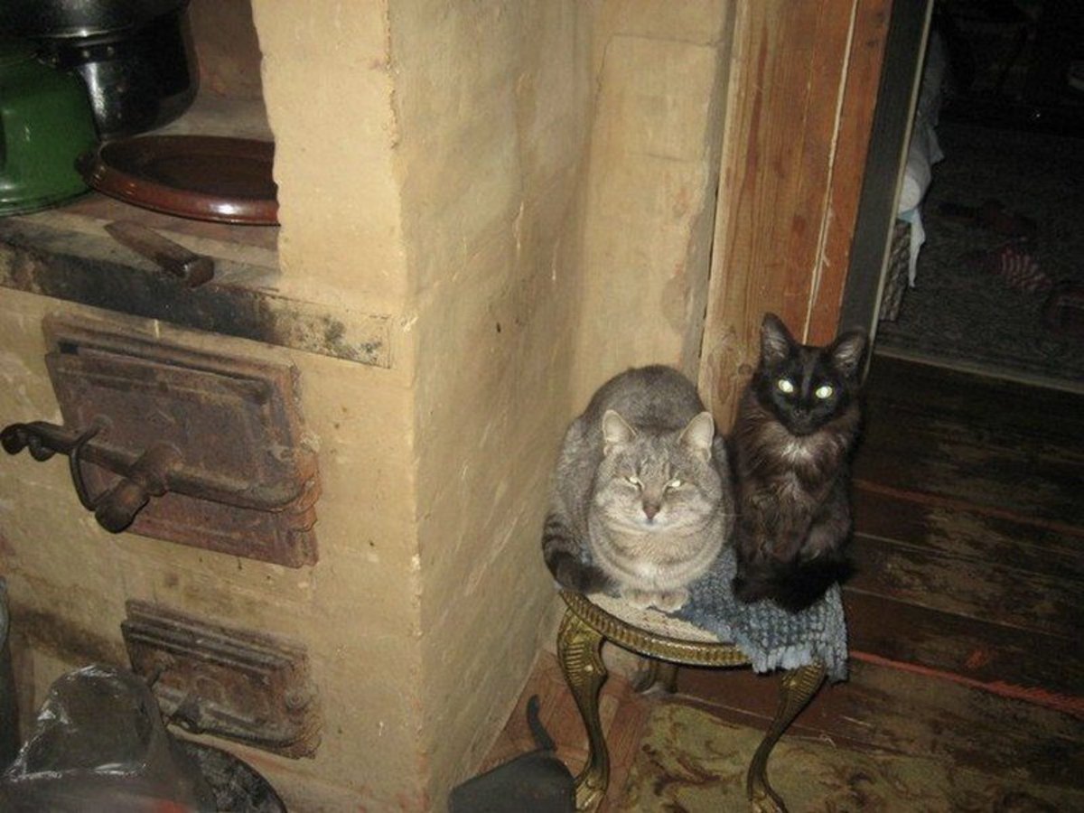 Кот на печке