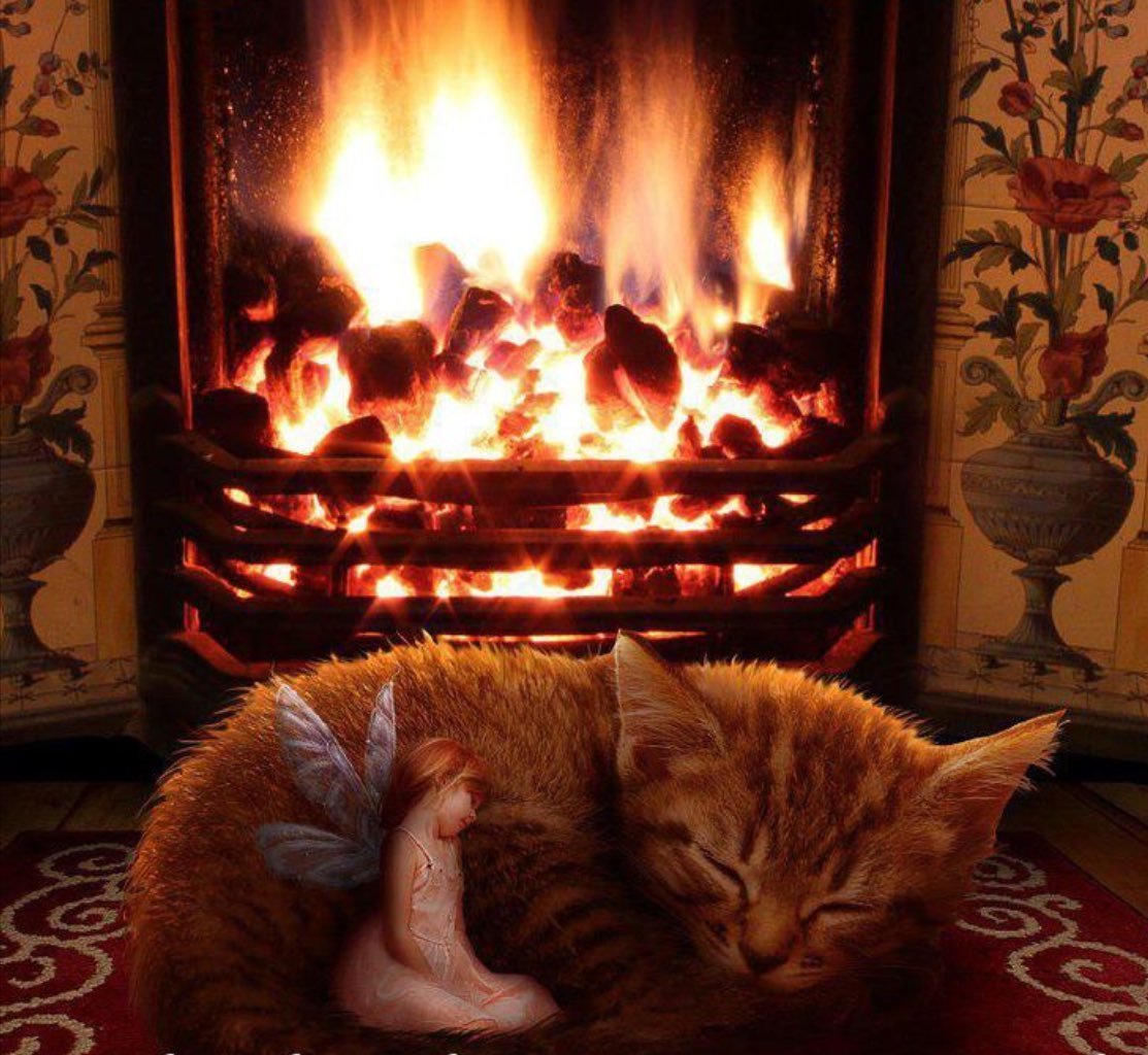 Иллюстрация кот и собака на кухне