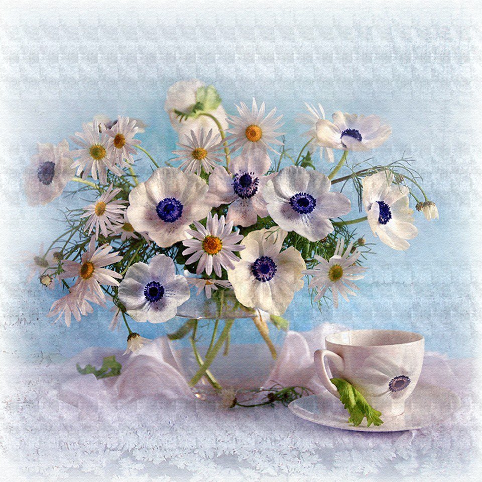 Нежной субботы доброе утро