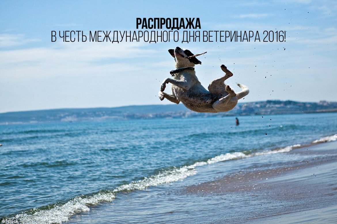 Радости и счастья