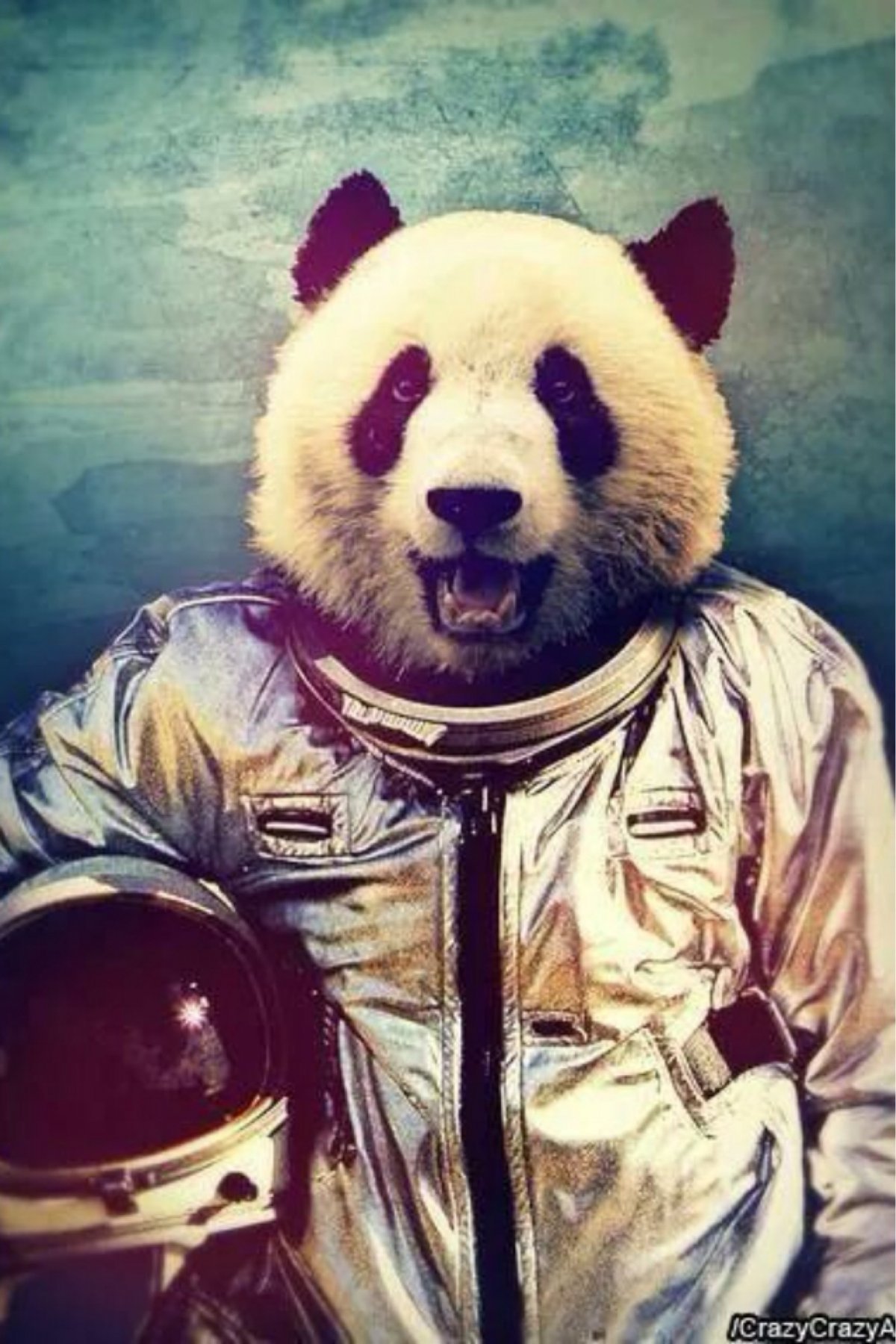 Прикольная Панда