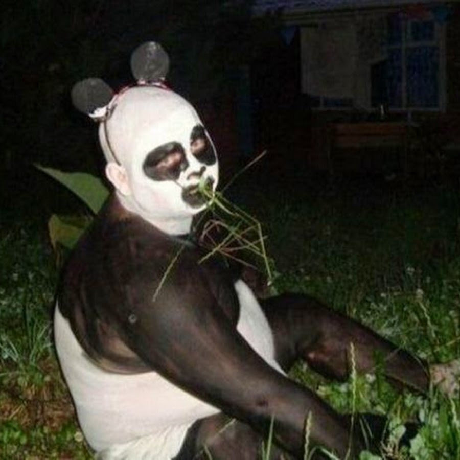 Животное с автоматом