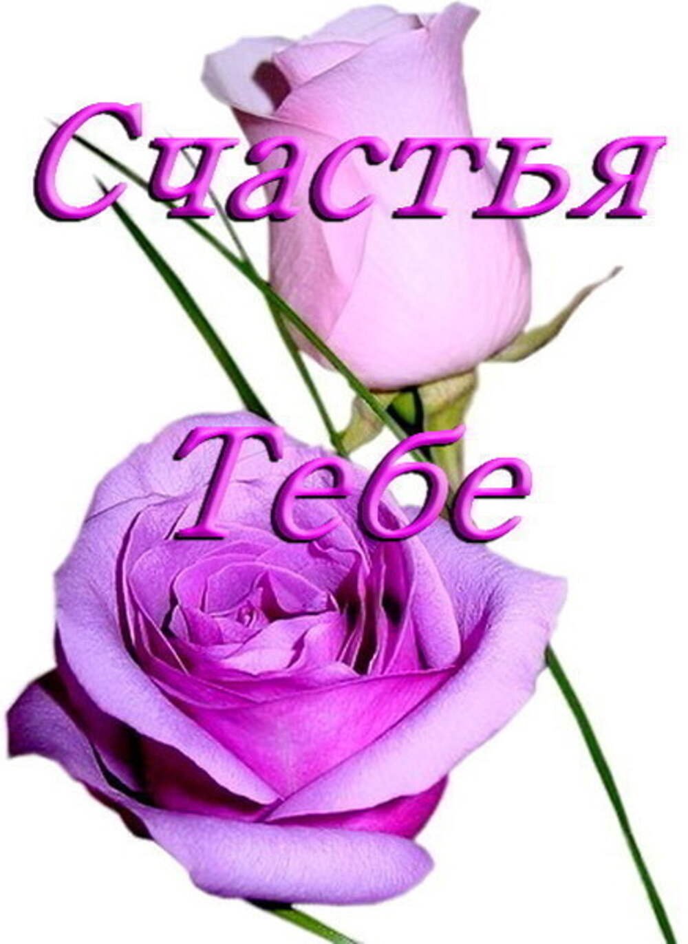 Цветы с надписью Лариса