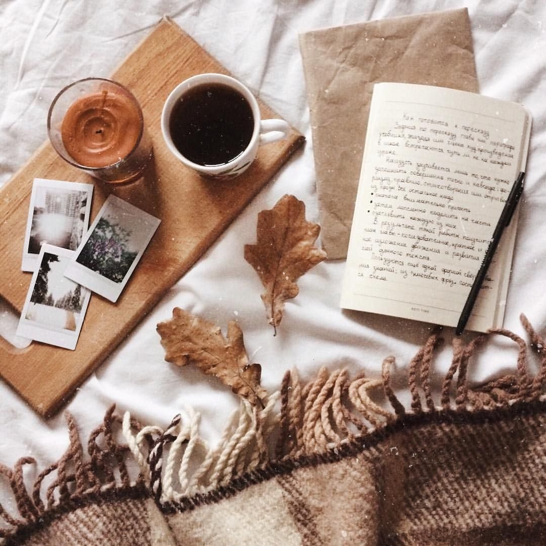 Осень ноябрь книга