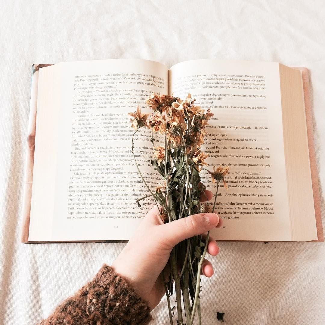 Эстетика книг и цветов