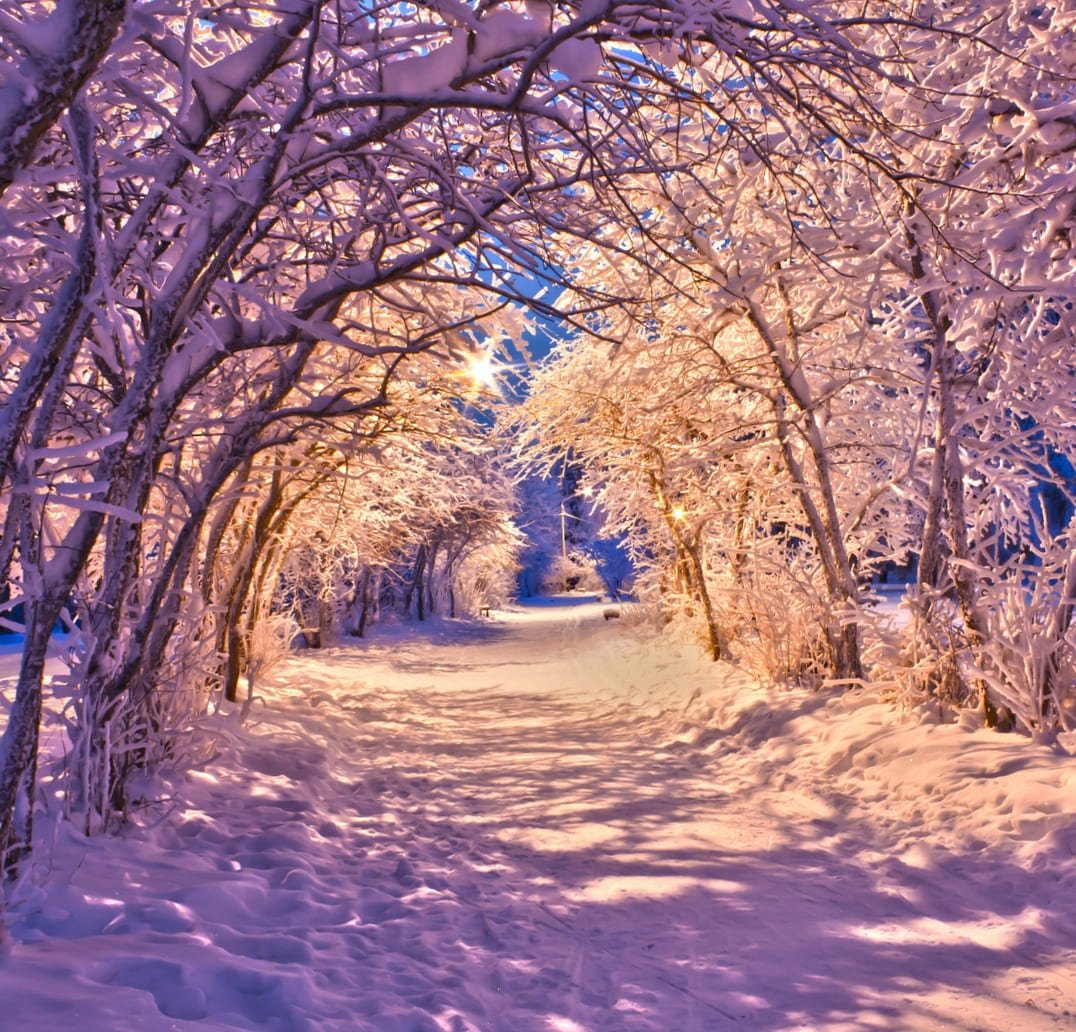 Телевизор Шиваки 32