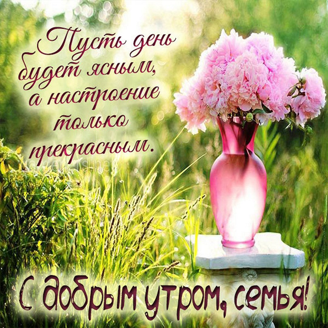 Букеты ромашек с пожеланиями