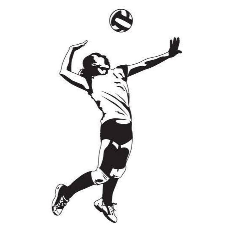 Волейбол Графика