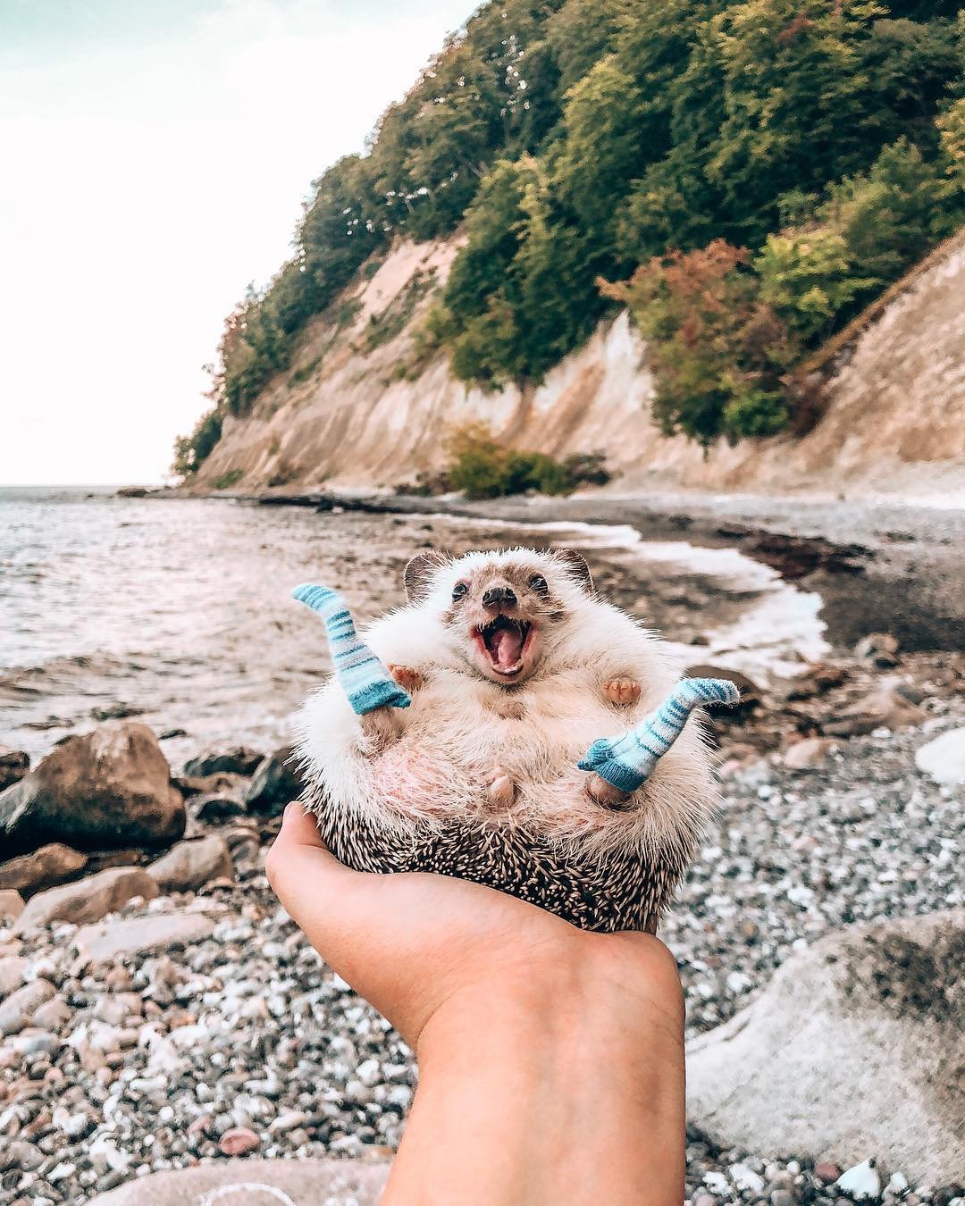 Хорошей пятницы Ежик