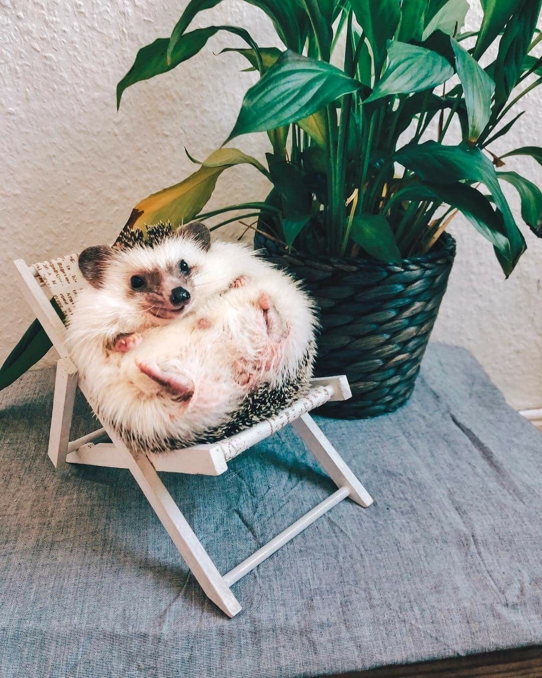 Шапка 'Ёжик'