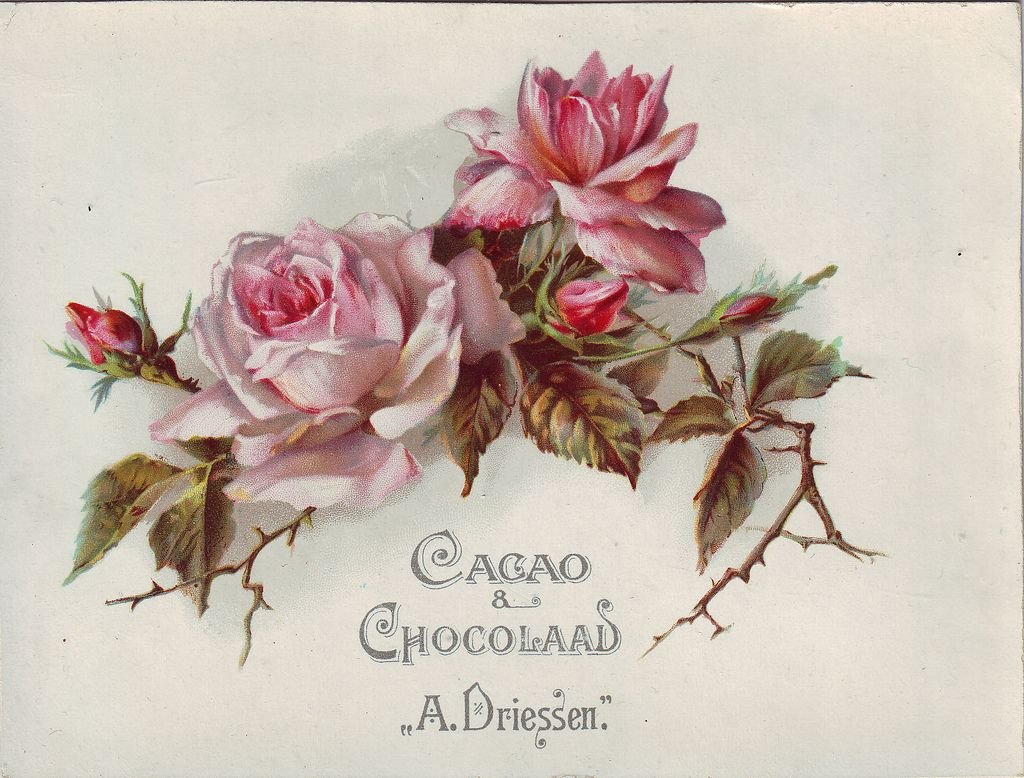 Старинные открытки цветы