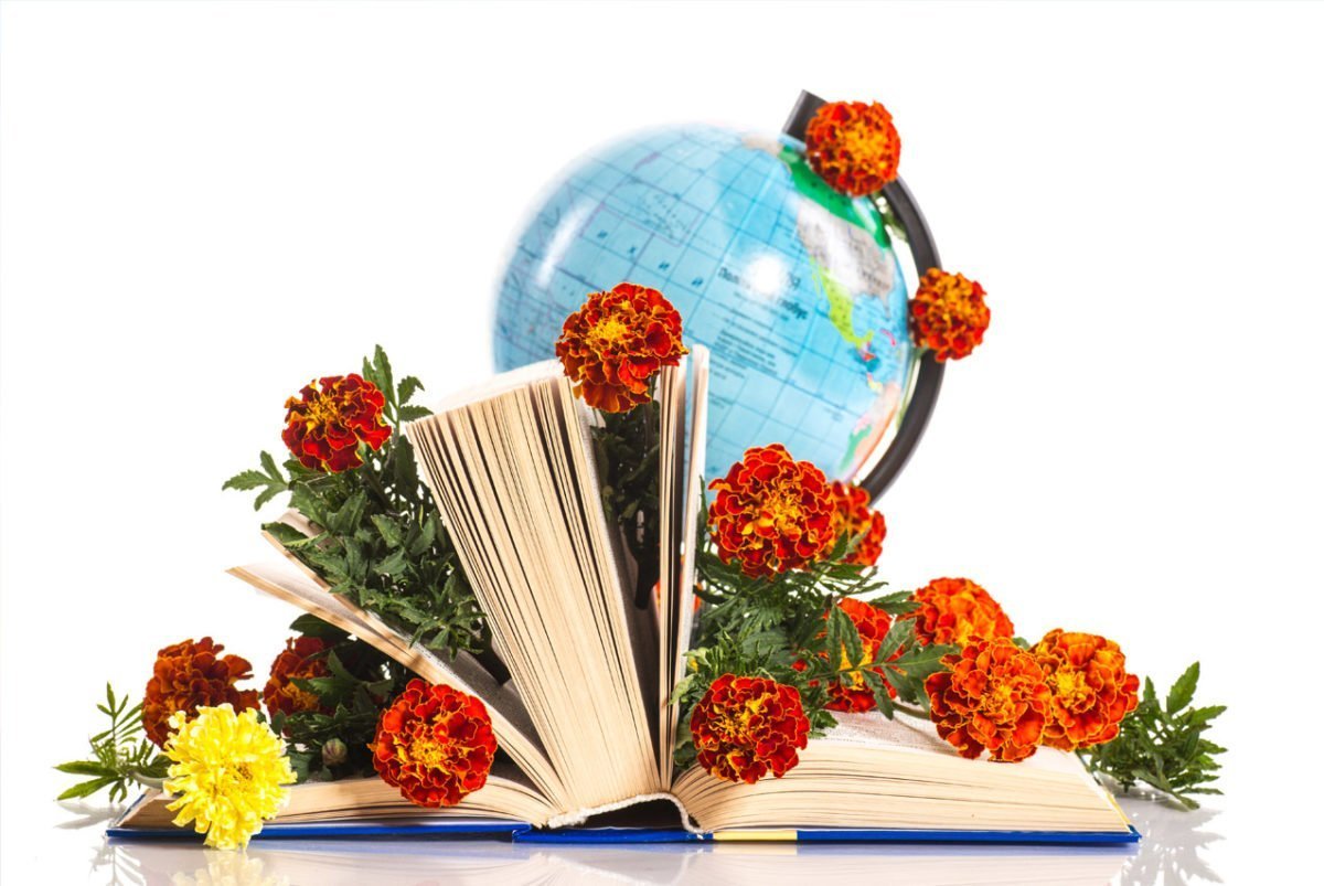 Учитель с цветами рисунок